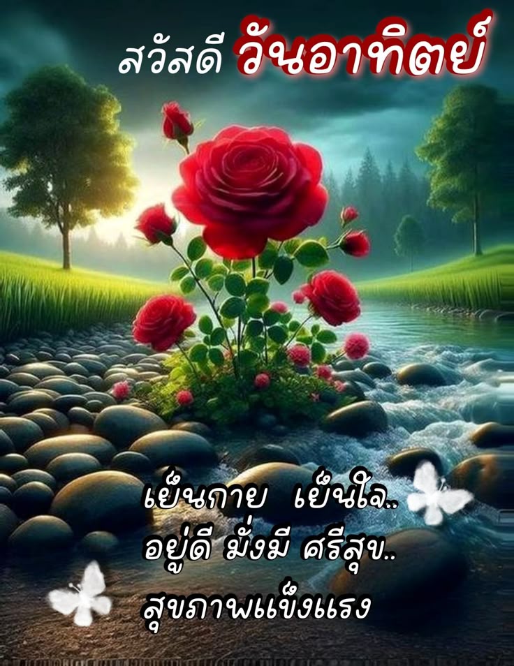 boybank1's tweet photo. #Helloday #hellosunday #sundaymorning #sunday #สวัสดีวันอาทิตย์ #สวัสดีวันอาทิตย์หรรษา #สวัสดีวันอาทิตย์ที่สดใส #วันอาทิตย์สีแดง https://t.co/wqiNTRGU2U