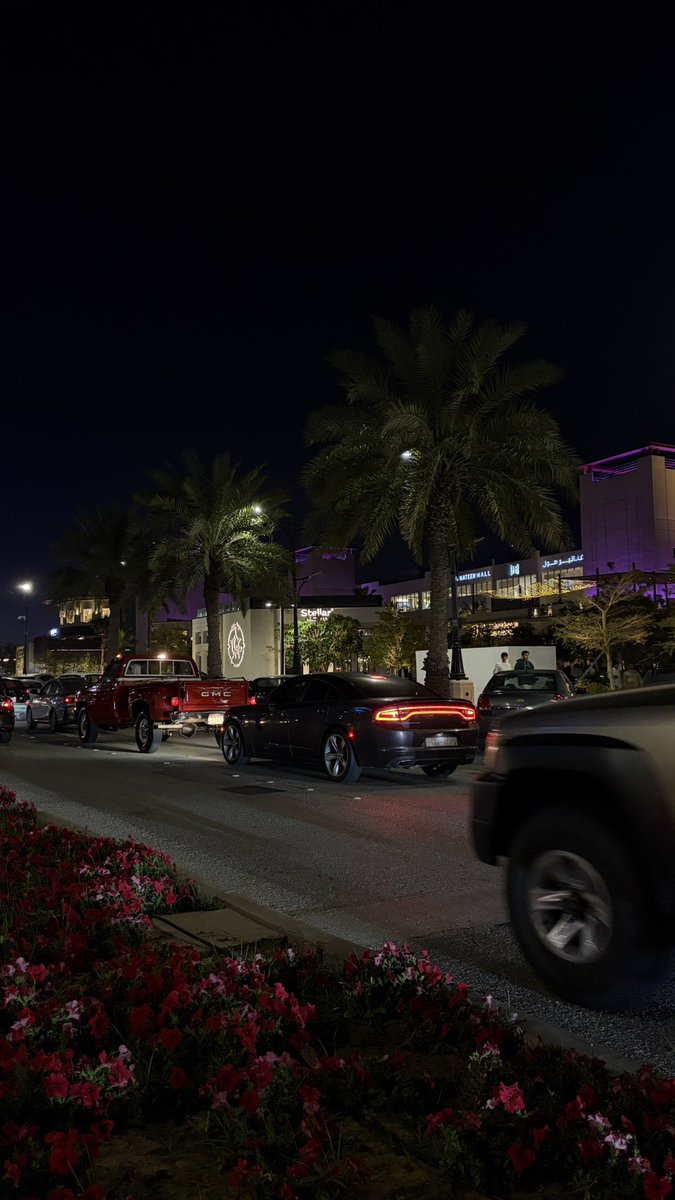 ‏قشطهَ tweet media