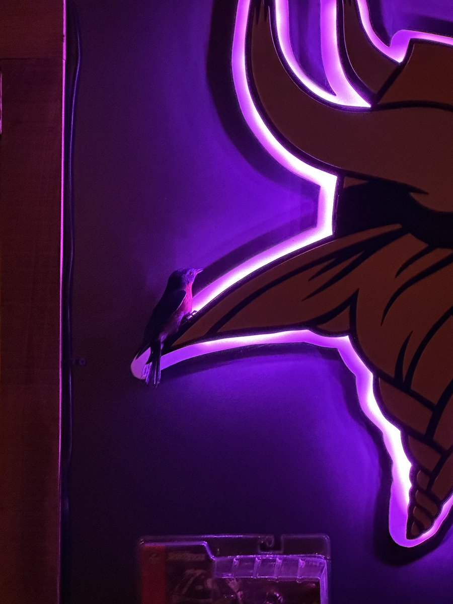 ProFootballTalk tweet media