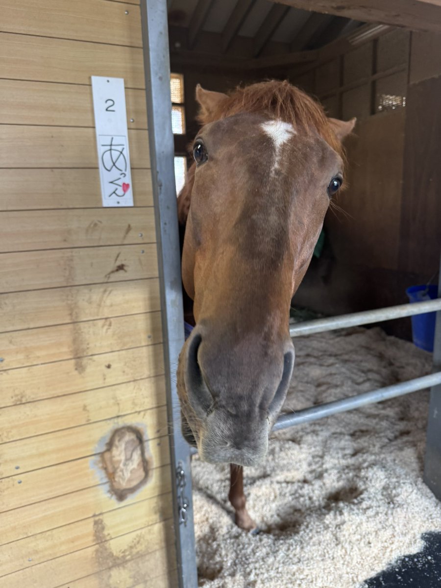 審査会 tweet media