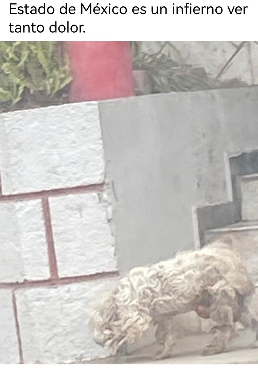 Vanessa del Rocío tweet media