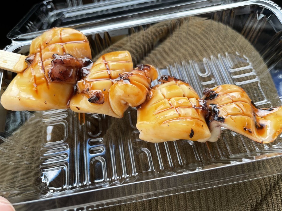 しゅりぺ🦖🐾 tweet media