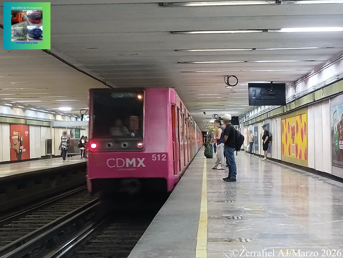 Zerrafiel AJ-Transportes tweet media