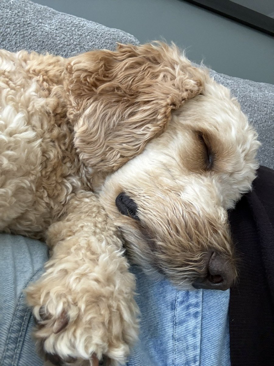 Heather Gillis, MPA tweet media