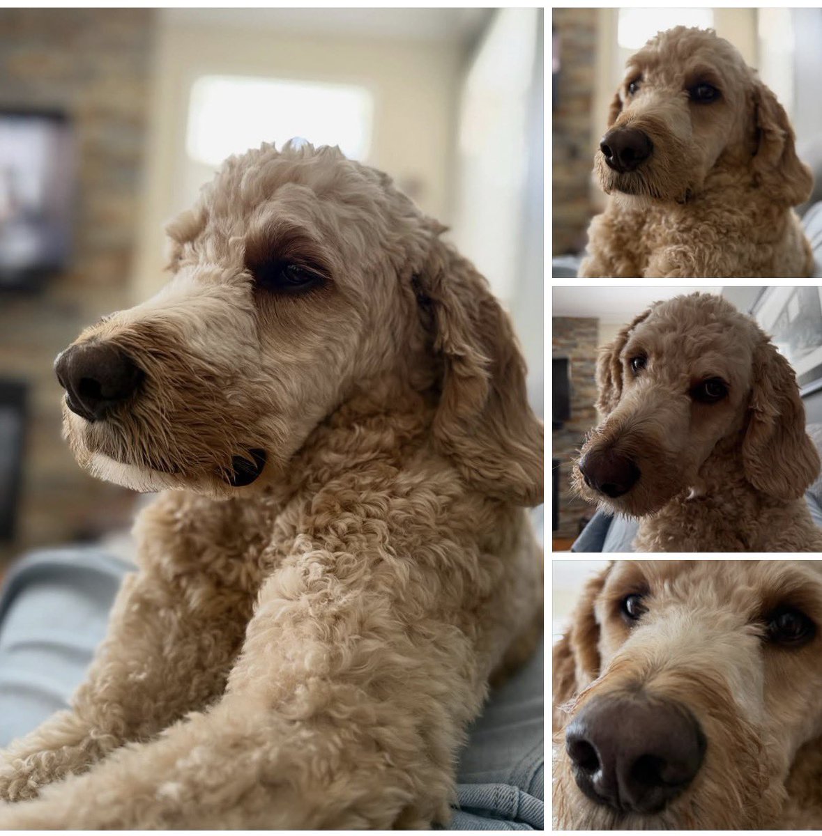 Heather Gillis, MPA tweet media