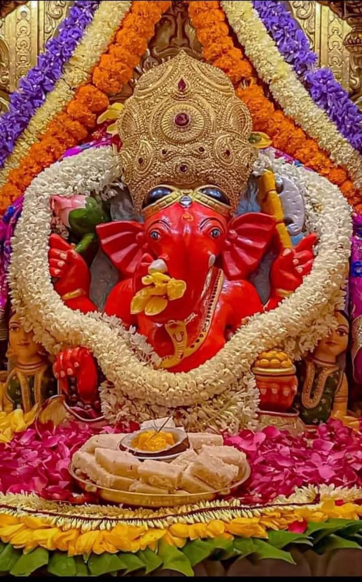 रानी पुरोहित tweet media