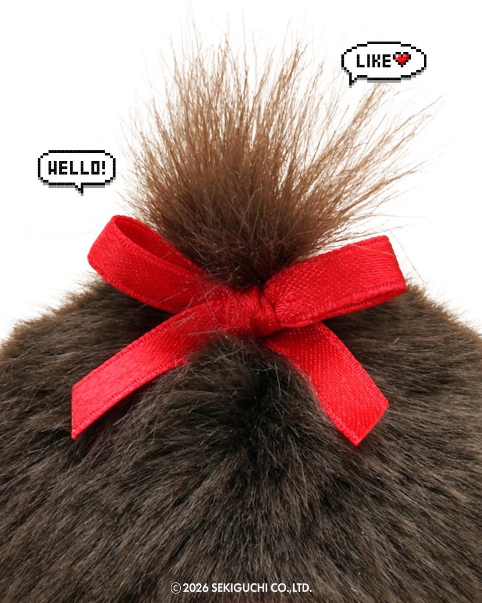 리 韓国代行 韓国情報🇰🇷🇯🇵 tweet media