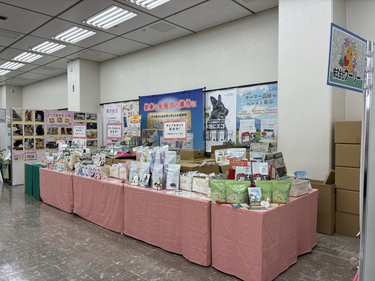 WOOLY（ウーリー） ㅣ うさぎの食彩工房 tweet media