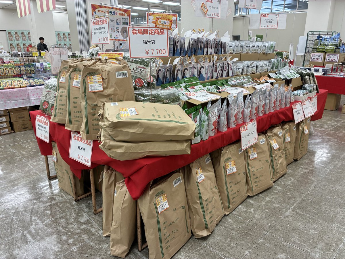 WOOLY（ウーリー） ㅣ うさぎの食彩工房 tweet media