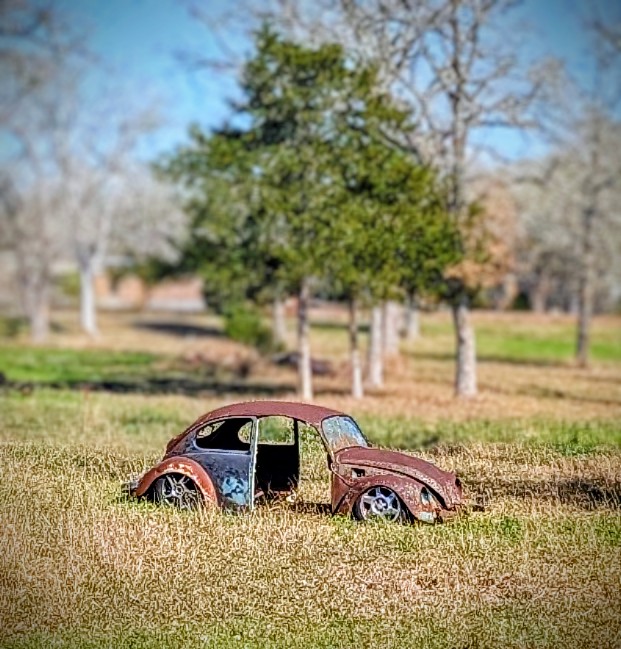 BBQ Bryan tweet media