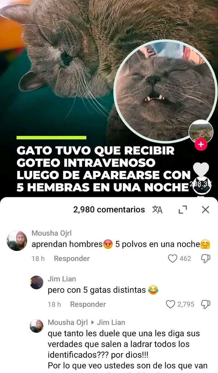 Mujeres Out Of Context tweet media