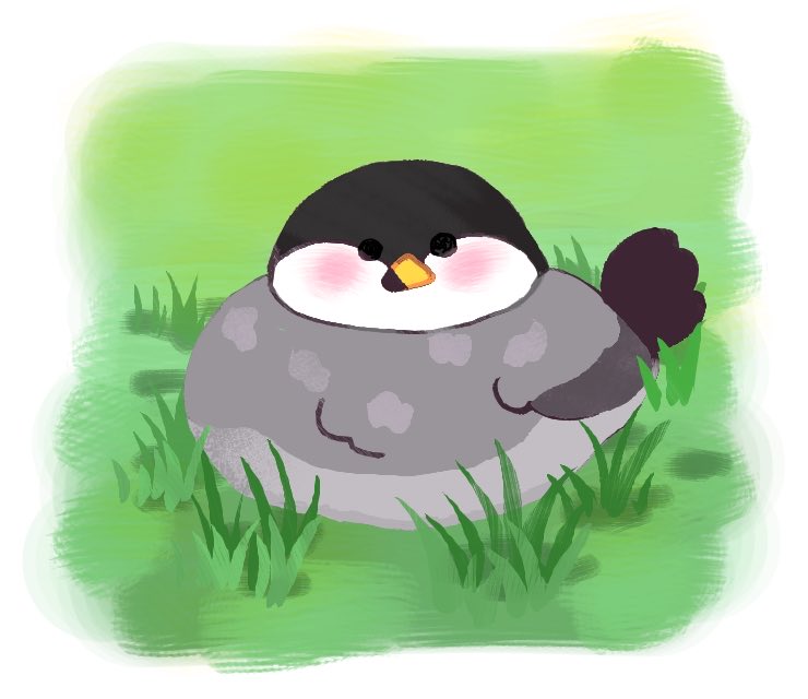 chopi and choco (ひよこ) tweet media