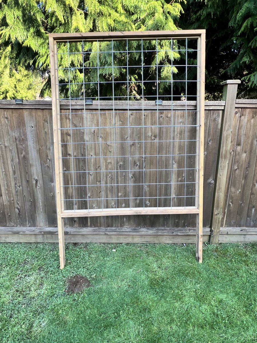 🇨🇦 ChefSwagger from Hell’s Kitchen 🇨🇦 tweet media