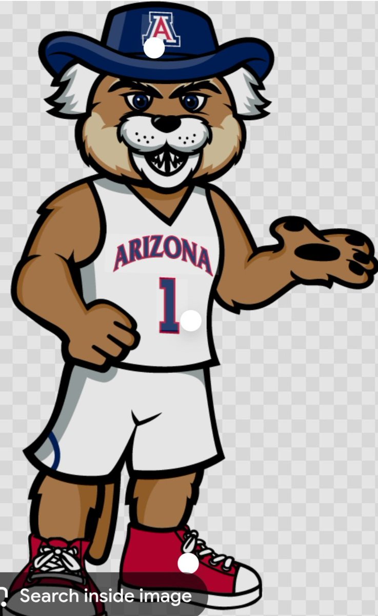 The new sheriff in the truckstop conference, Wilbur Wildcat 
B12 Champs, B12 Tourney Champs
Iowa State sucks cobs.