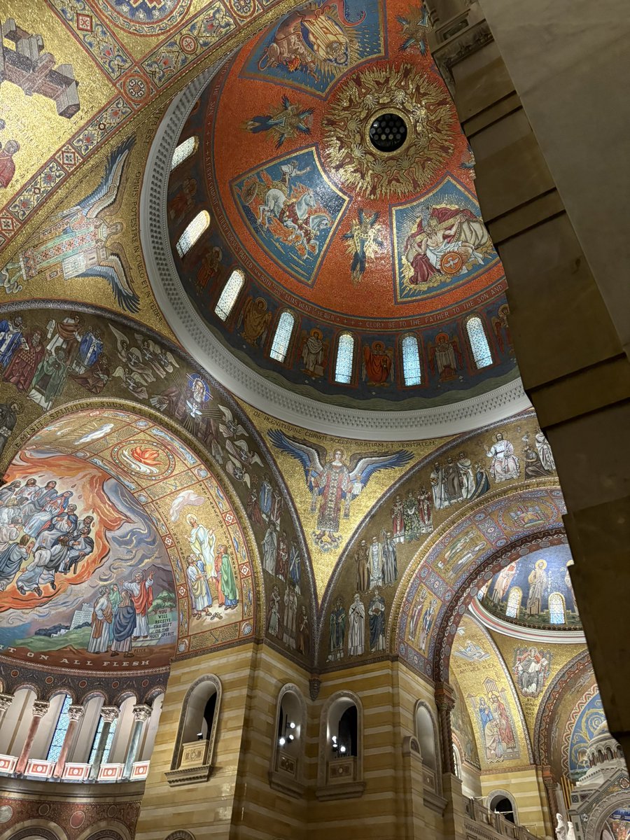 BowTiedOx | SOF Athlete/Bodybuilder tweet media