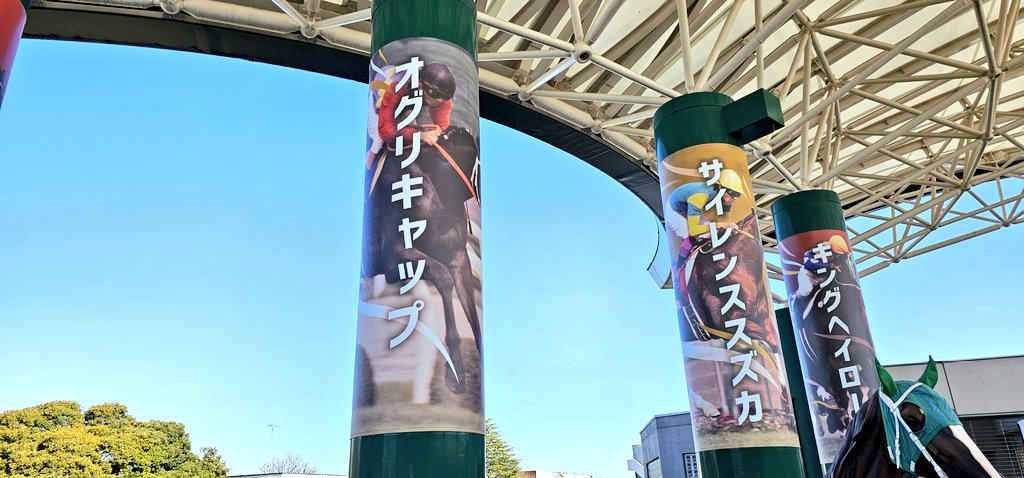 もとひろ🍮広報☆ tweet media