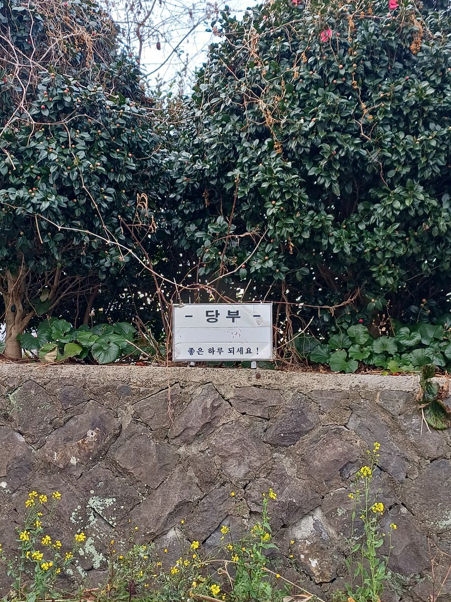 알겠습니다!