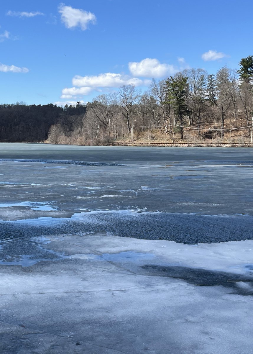 Charles Komanoff tweet media