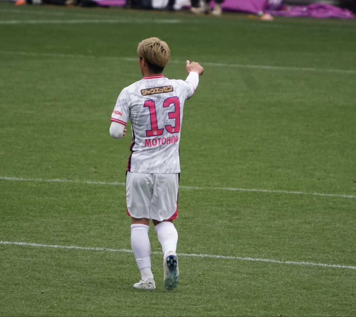 ハムリン tweet media