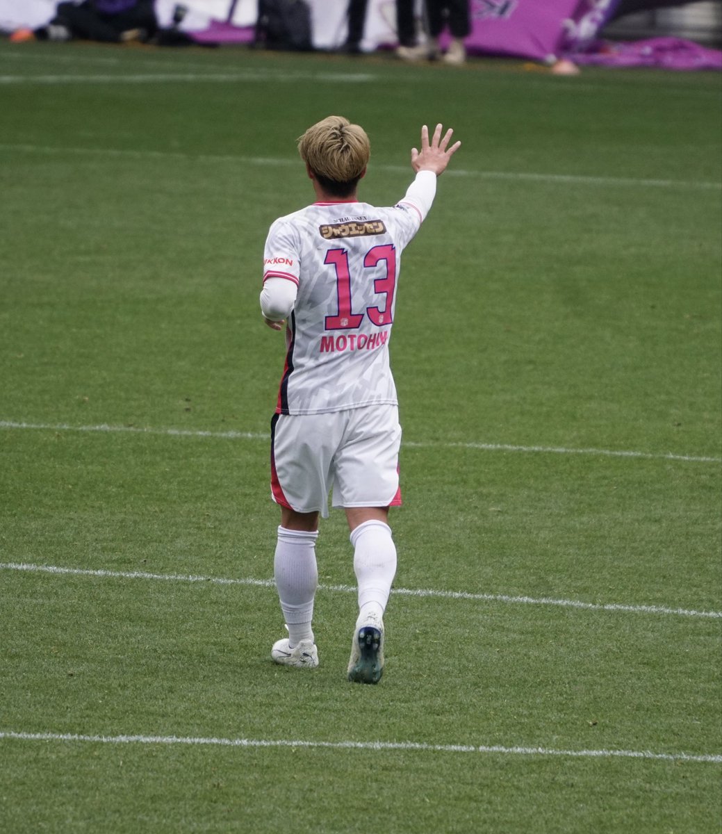 ハムリン tweet media