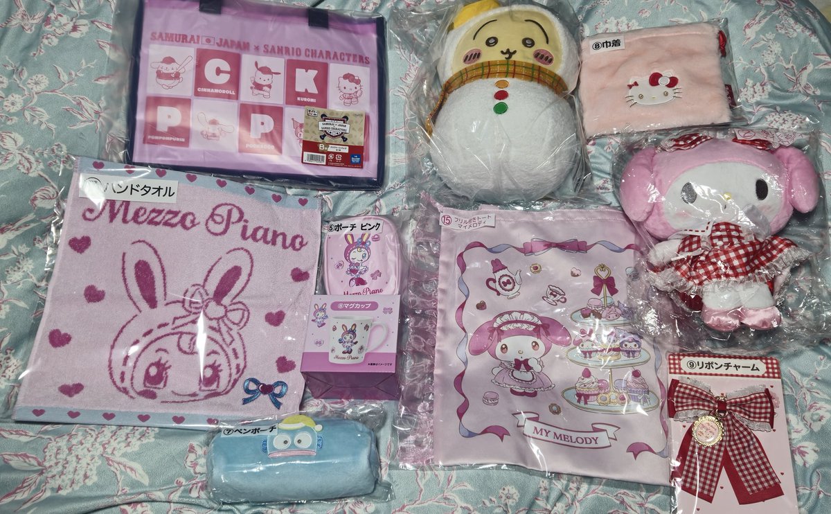 ドラえもん&Hidemi (どらみちゃん) tweet media