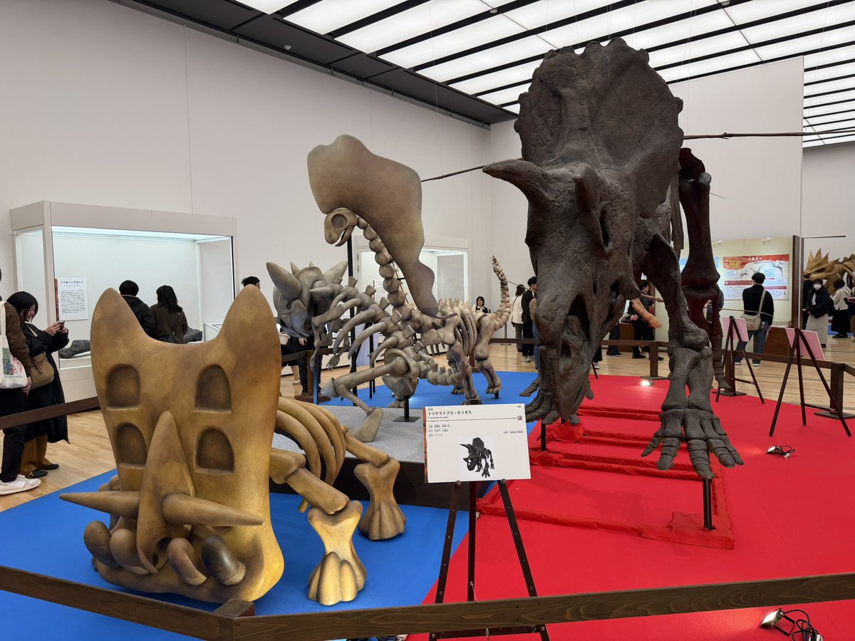 phyurse24's tweet photo. ずっと行きたかったポケモン化石展に行けた🙌 https://t.co/woN8YktmoR