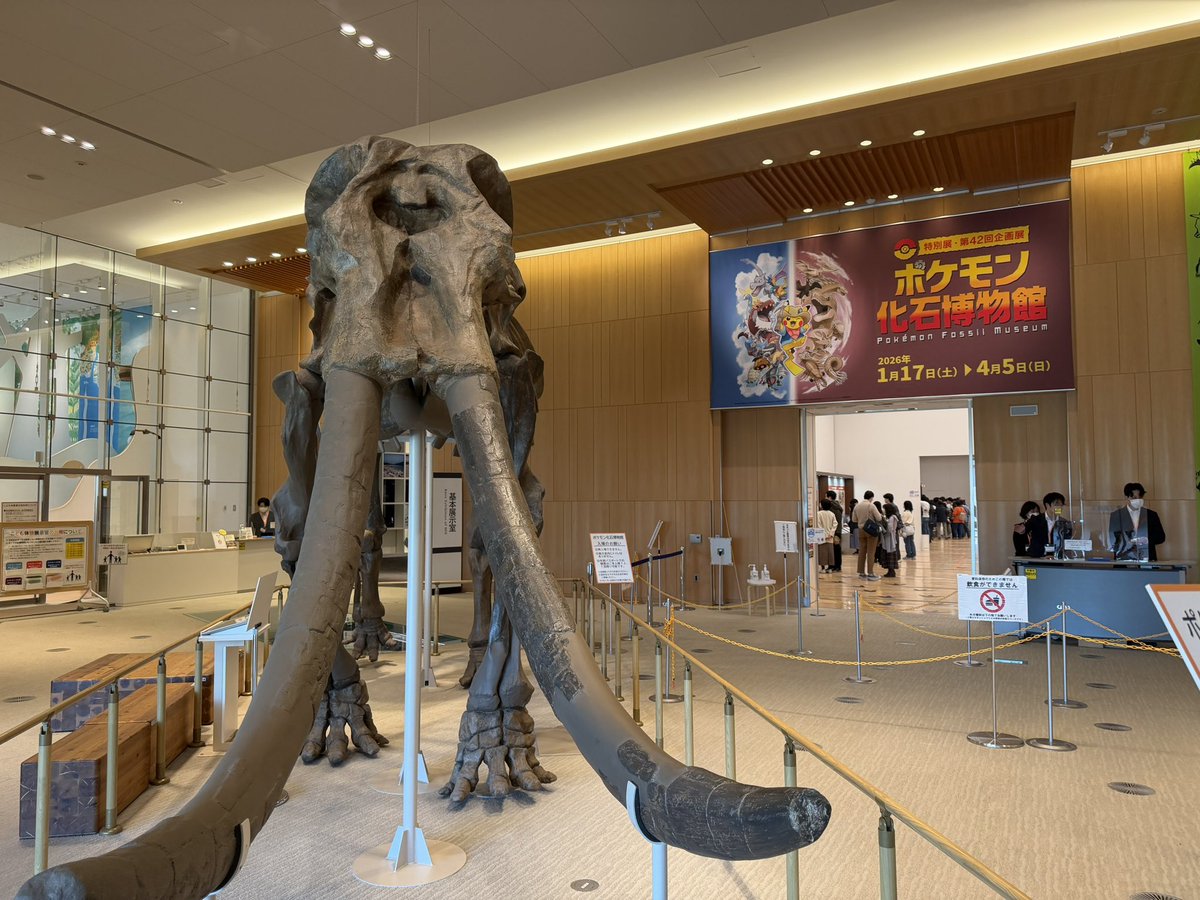 phyurse24's tweet photo. ずっと行きたかったポケモン化石展に行けた🙌 https://t.co/woN8YktmoR