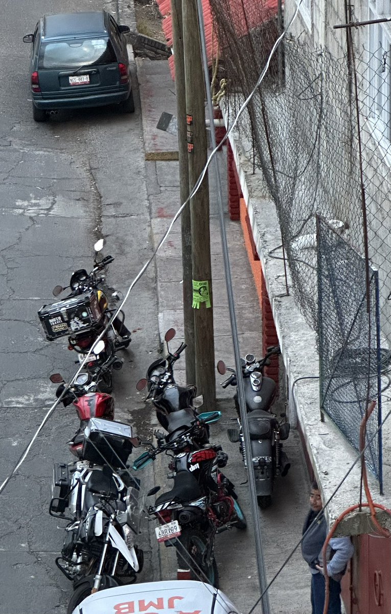 kahlolau tweet media