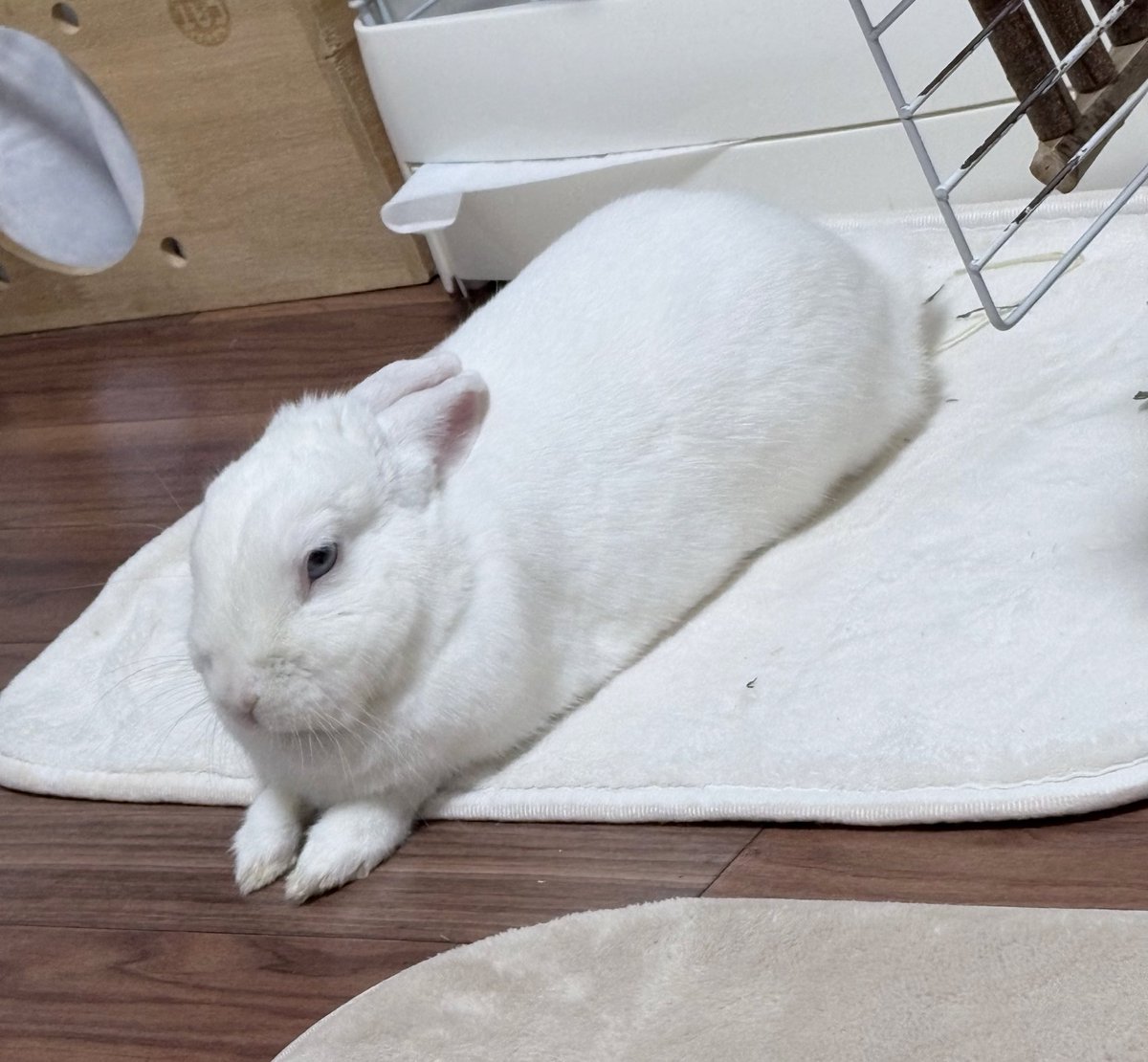 おててだけ暑くてさー🌞