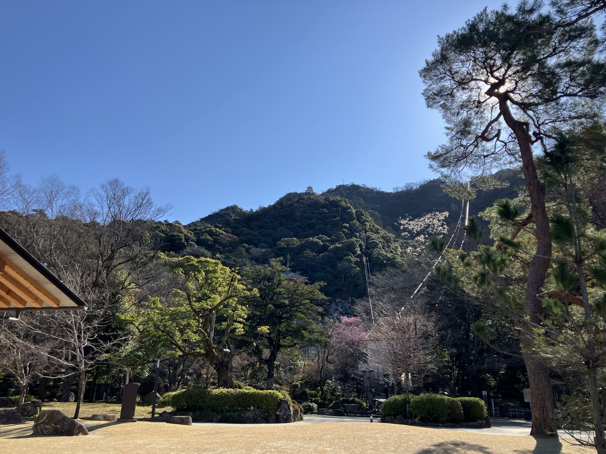 のぶさま。 (@NOBUSAMA_tweet) / Posts / X