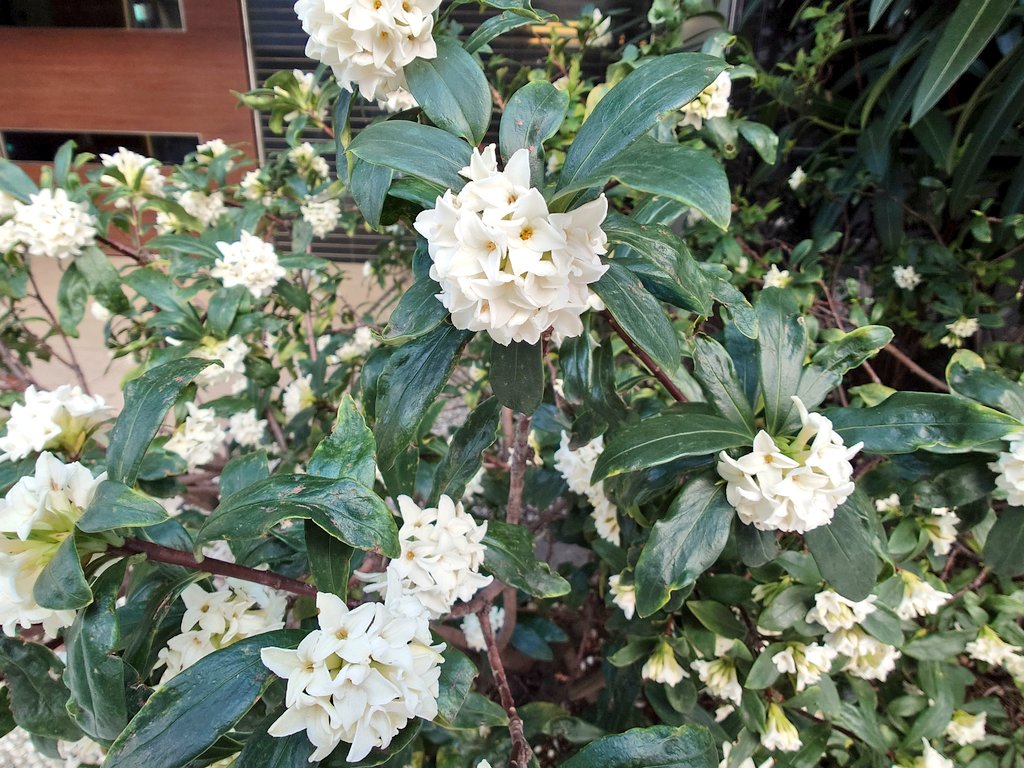 かてて tweet media