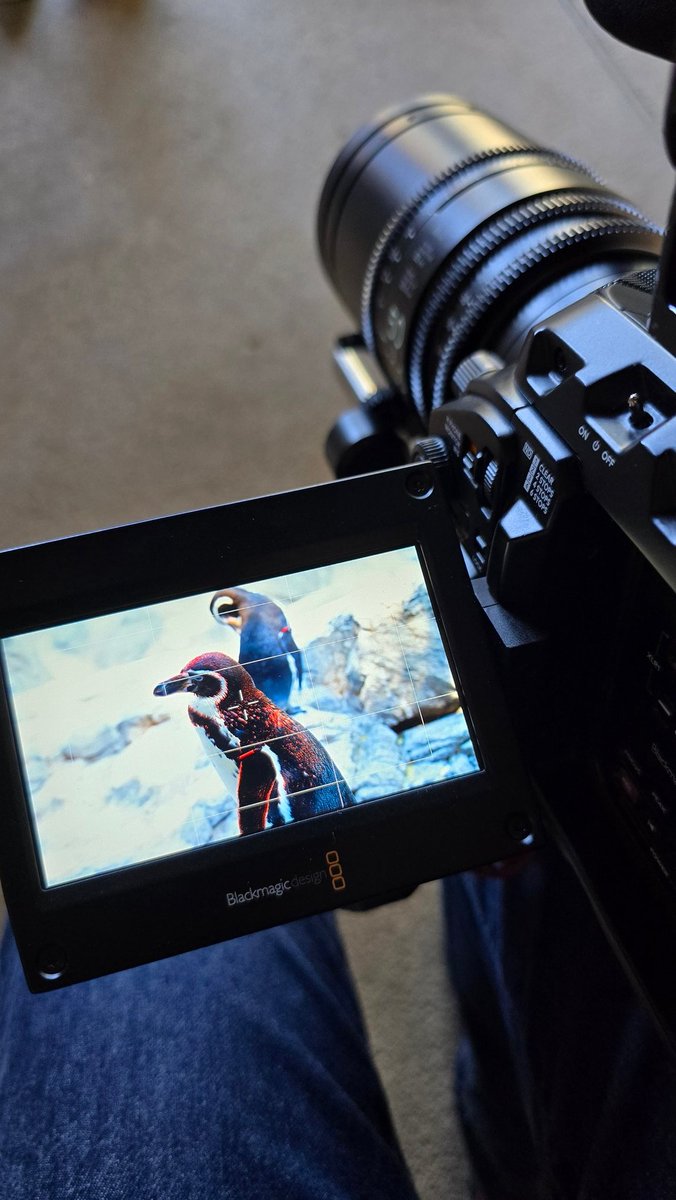 ぬるぽ.7z tweet media