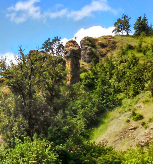 Shawna Staff tweet media