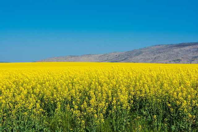 James Bosch tweet media