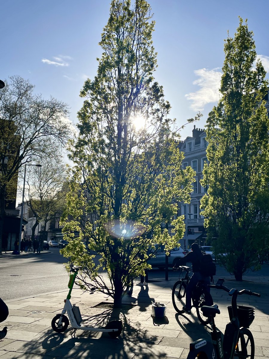 MinGreenwich's tweet photo. 10 Apr 2024 - Took a solo trip to nearby South Kensington where I was fascinated by the high-end shops &amp; elegant residences. If I gain permission to walk into the private garden, mum'd be the 1st person I accompany to sit on the bench together everyday. https://t.co/hFGbcL3Stw
