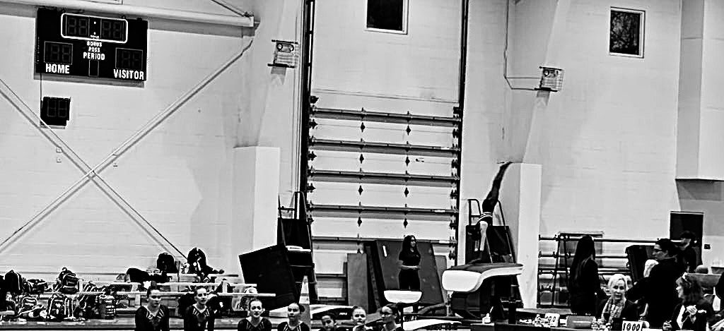 Sra.ColonCultivatesBecoming tweet media