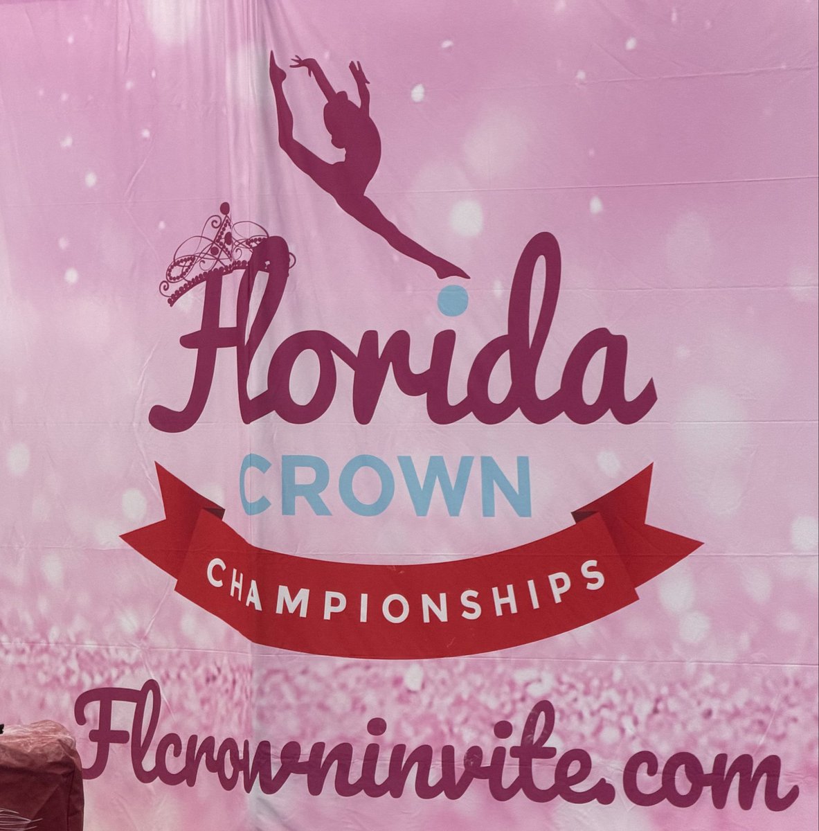 Sra.ColonCultivatesBecoming tweet media