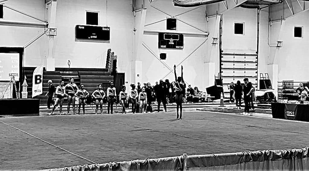 Sra.ColonCultivatesBecoming tweet media