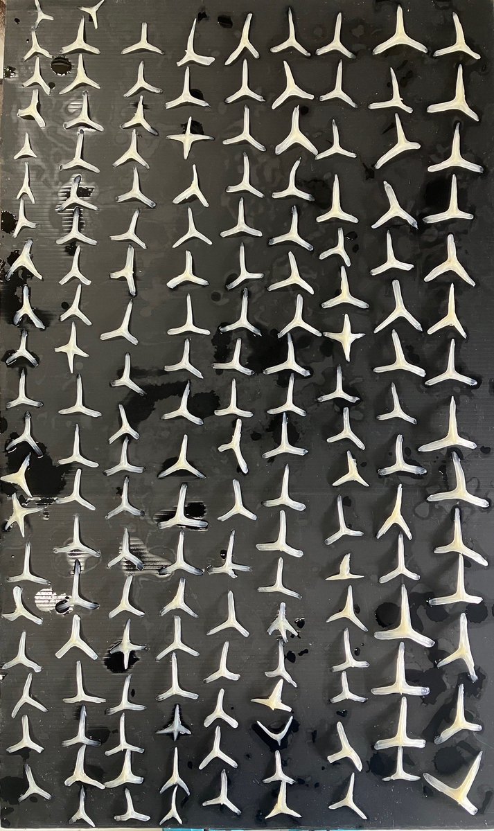 イシガキフグの棘です。

159本でした。