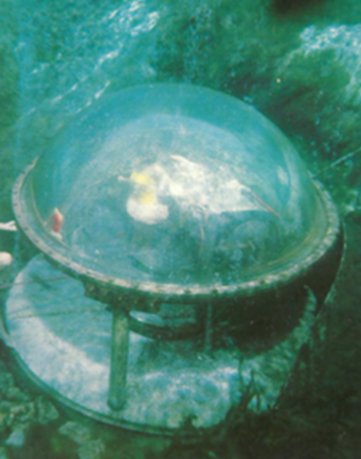 gina rue NASA's secret tweet media