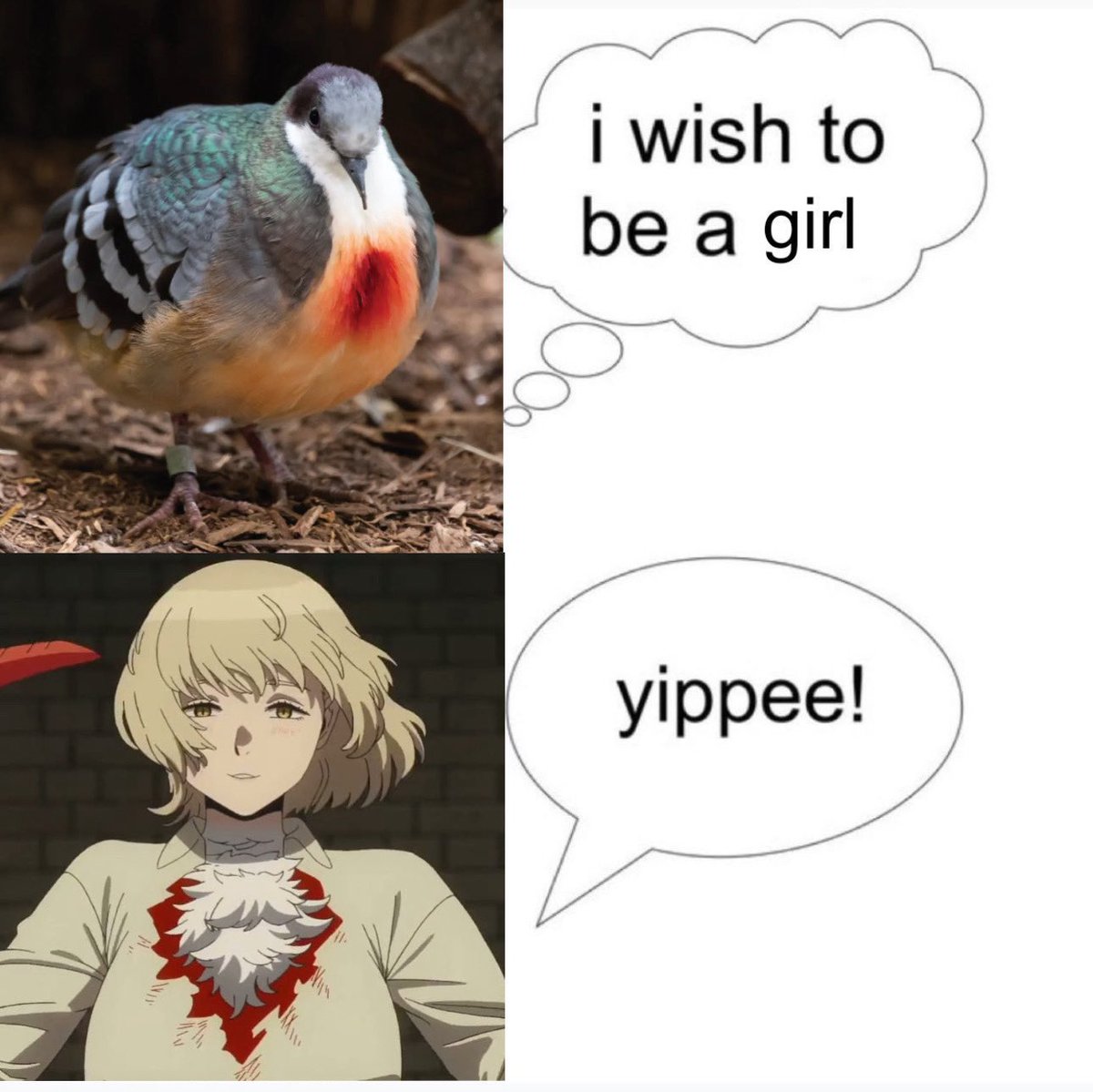 amber ♡ tweet media