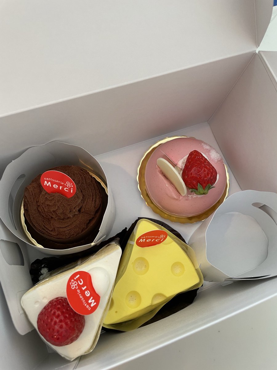 今日もメルシー