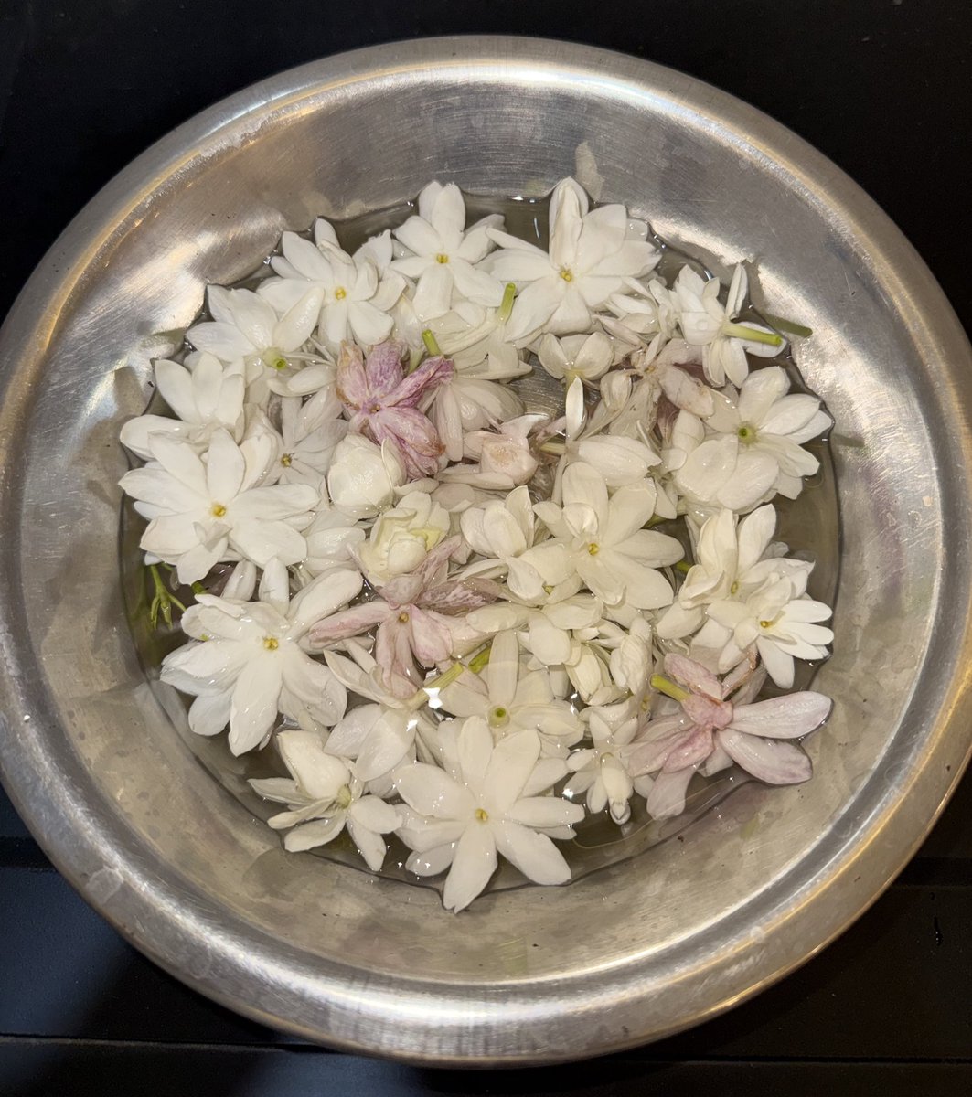 JazanSoul's tweet photo. Arabian Jasmine https://t.co/Eh4DBqkSXx