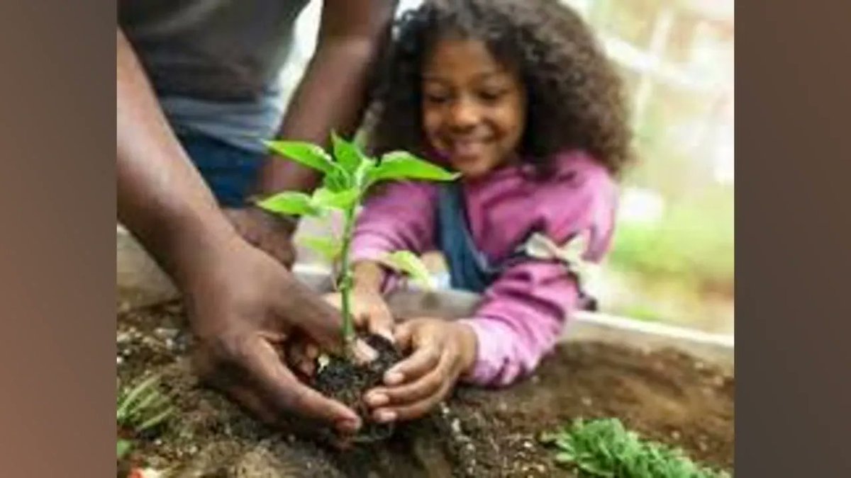 faisalmalak16's tweet photo. This image says it all 🌿
It starts with you. Make a difference.

View the post 👉 https://t.co/lvBu5NCvof
Earn GREEN on ECOX Network while you act:
https://t.co/M0cXDuSSgD

#ECOX #GREEN #ECO_TO_EARN https://t.co/KfAC6QAt2p