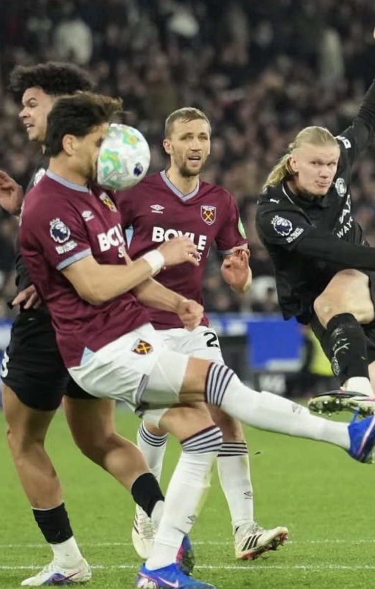 HarryWHU⚒🇮🇪 tweet media