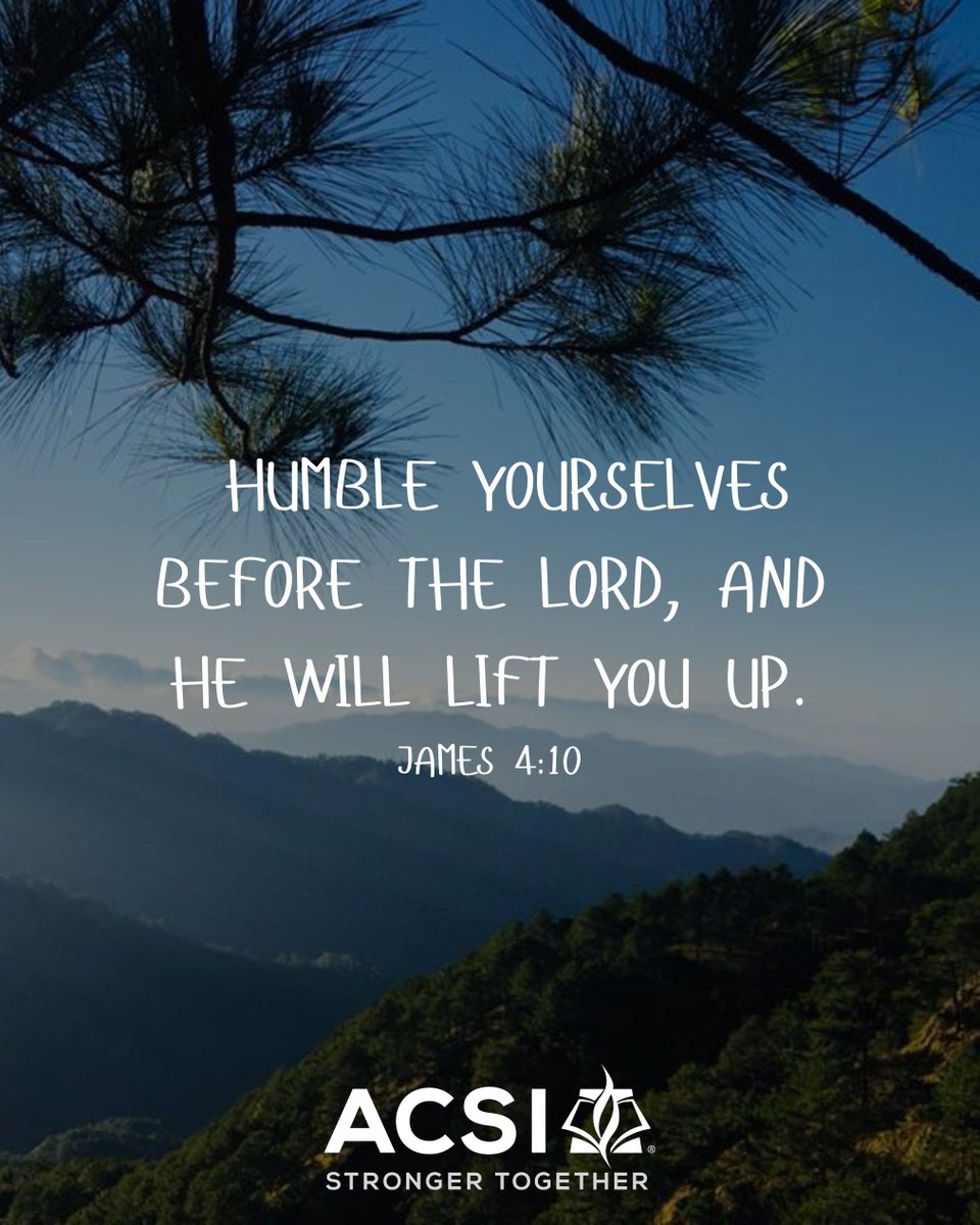 ACSI International Schools tweet media