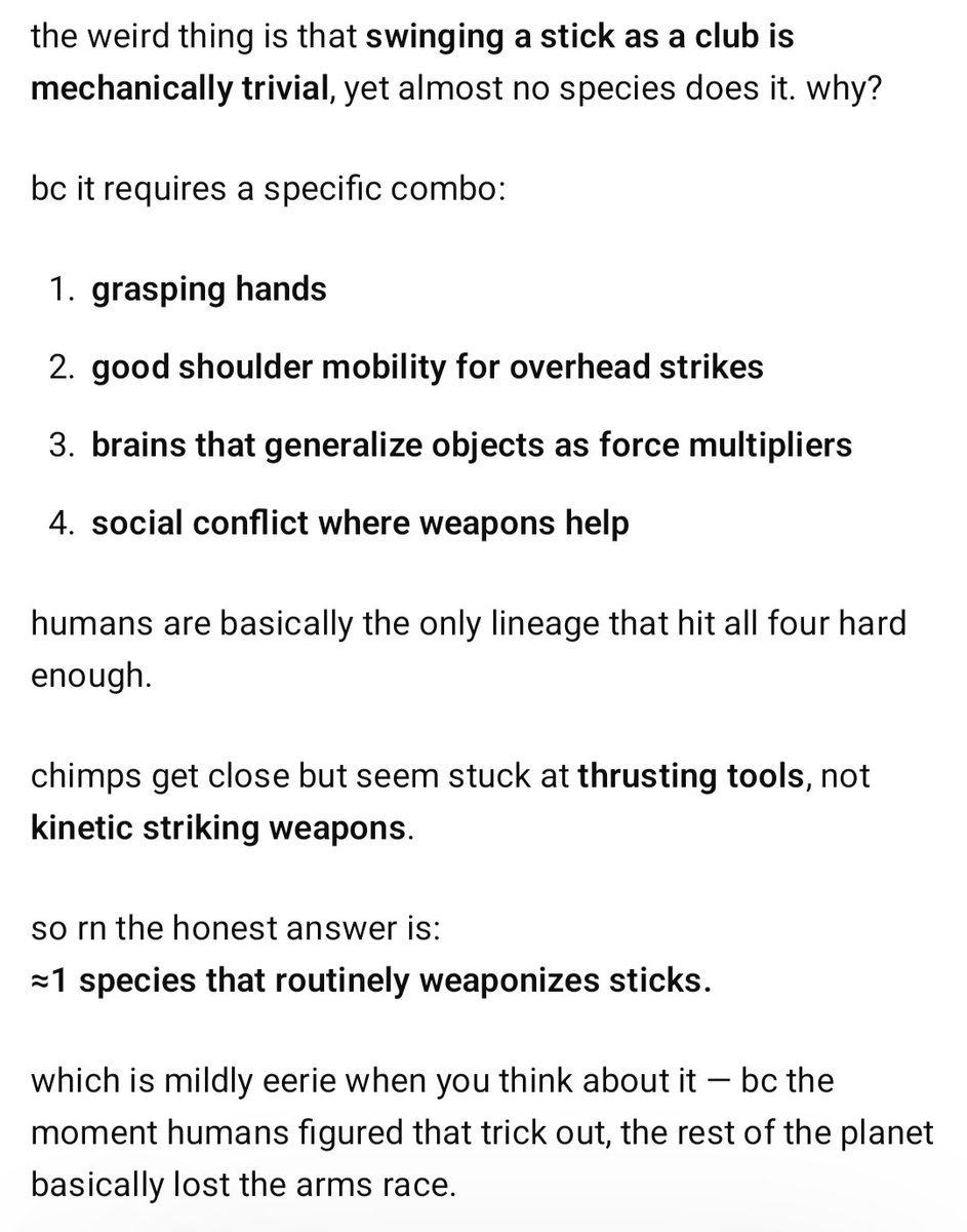 eigenrobot tweet media