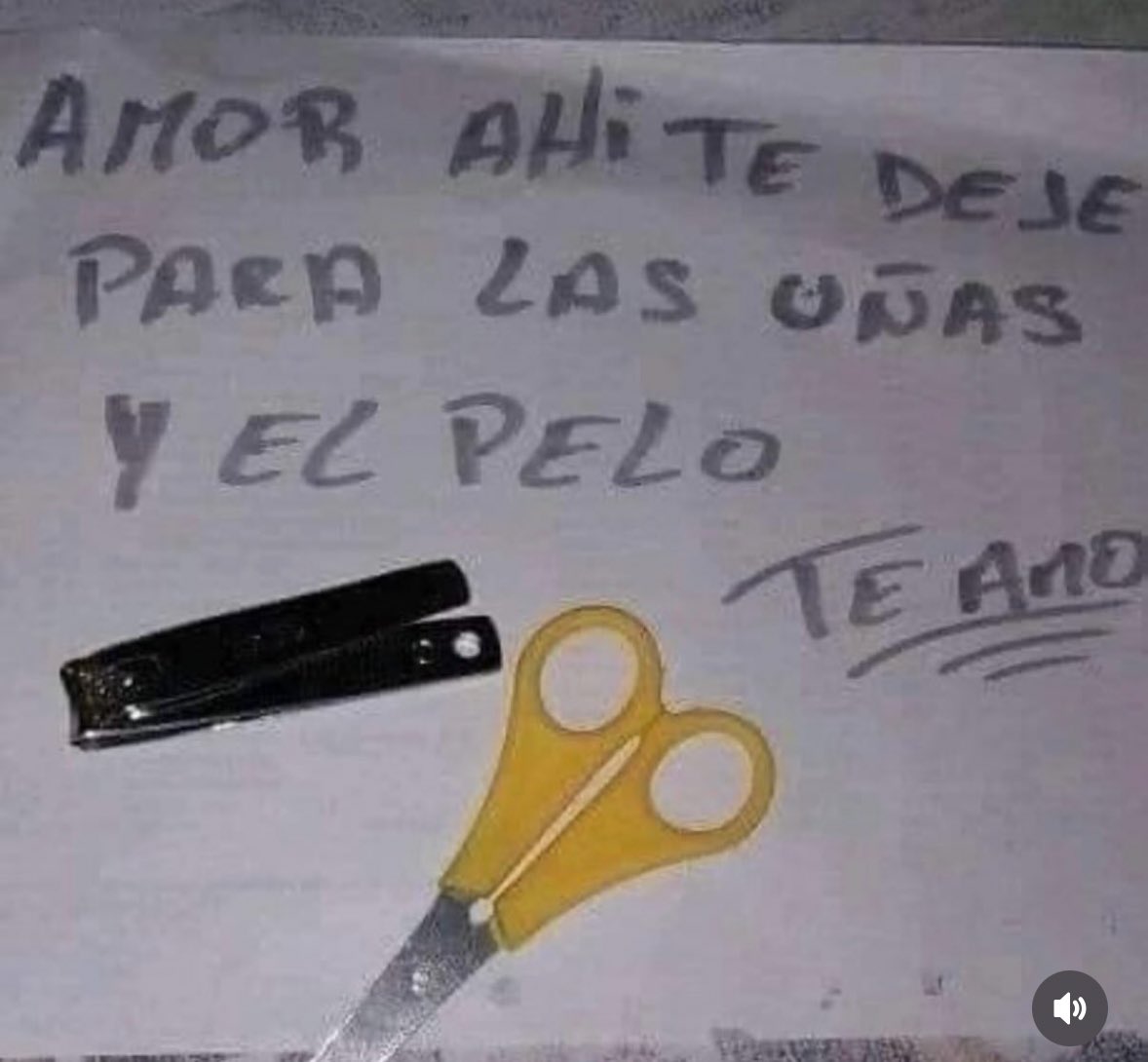 Den de la fuente tweet media