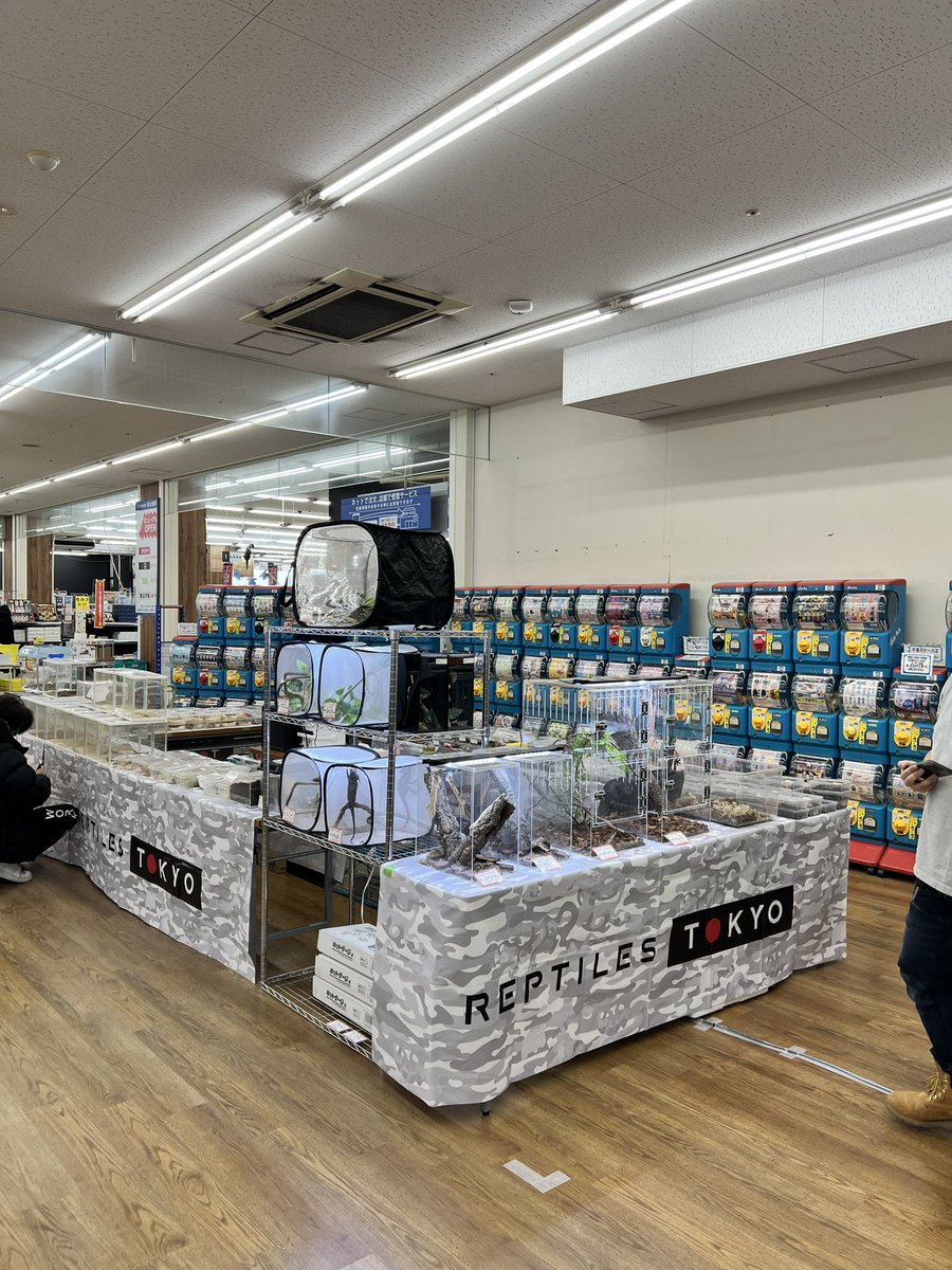 Fantasticゴリオ tweet media