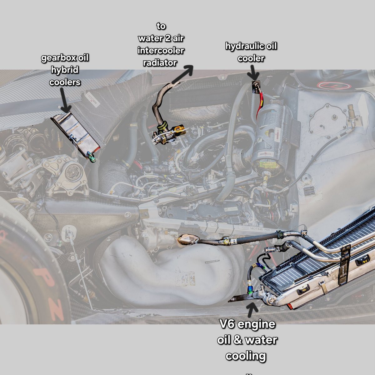 Craig Scarborough tweet media